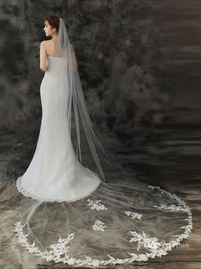 Lace Appliqued 1 Tier Cathedral Veil Viniodress TS1911-Veils-Viniodress-Ivory-Viniodress