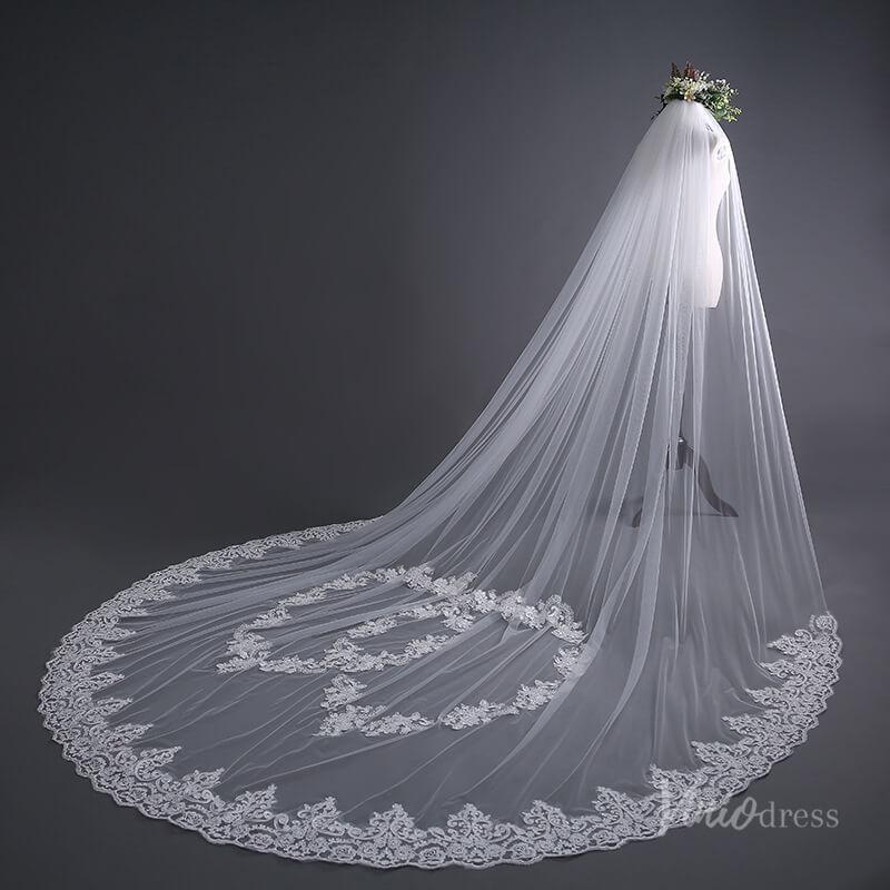 Lace Appliqued Cathedral Veil Viniodress TS17139-Veils-Viniodress-Ivory-Viniodress