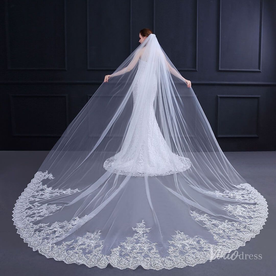 Lace Appliqued Cathedral Veil Viniodress TS18011-Veils-Viniodress-Ivory-Viniodress