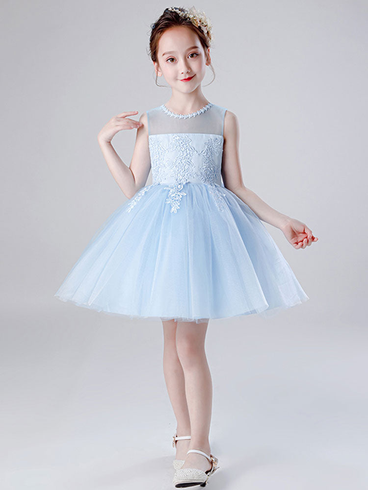 Jewel Neck Tulle Sleeveless Short Princess Embroidered Kids Social Party Dresses-showprettydress