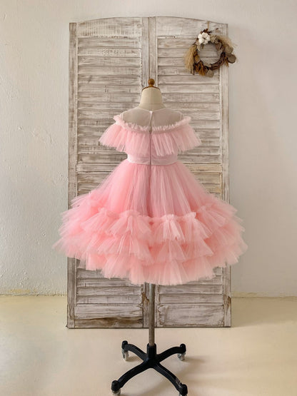 Princess Sheer Neck Pink Ruffle Tulle Wedding Flower Girl 