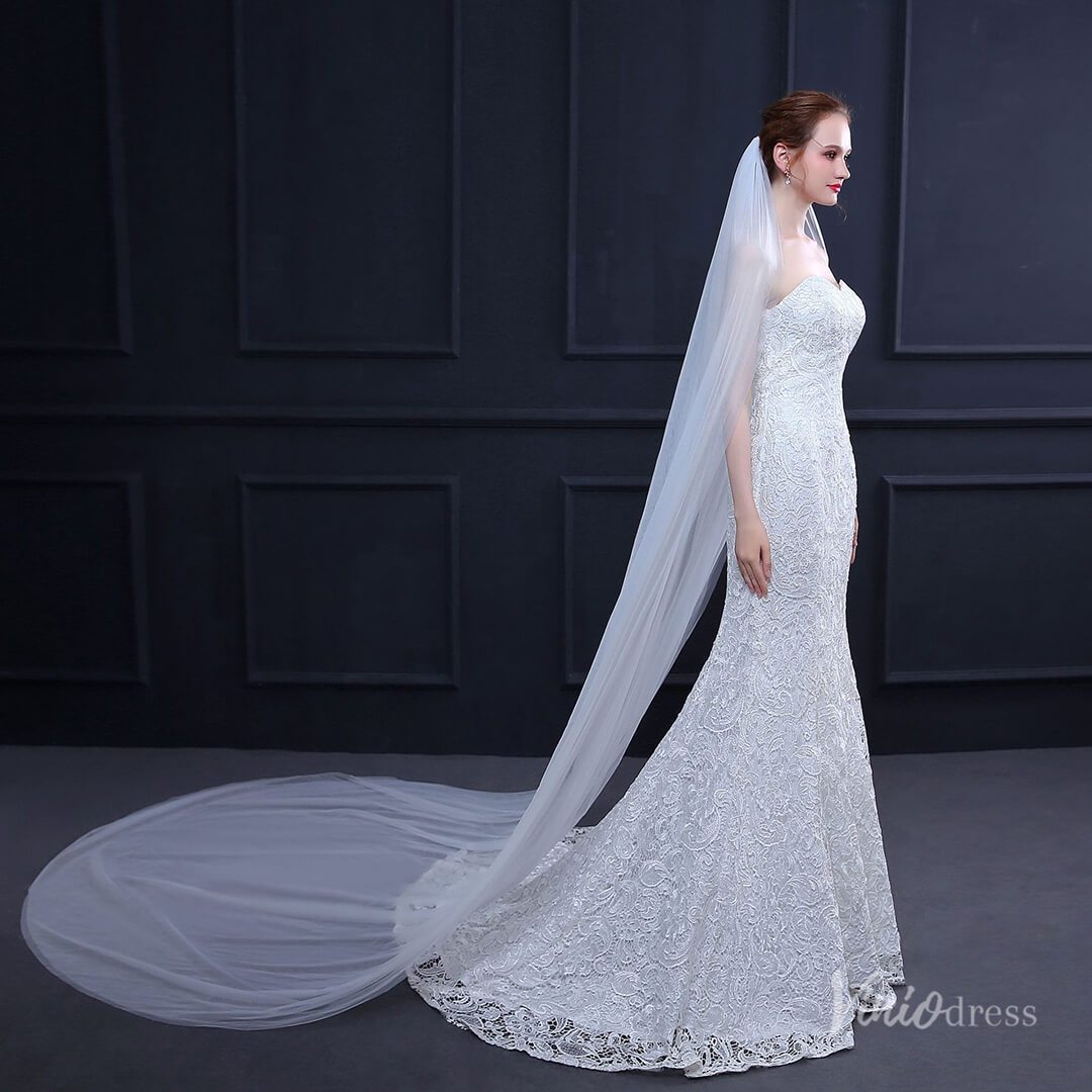 Simple 2 Tier Tulle Cathedral Veil Viniodress TS18015-Veils-Viniodress-Viniodress